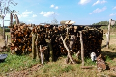 DSCN0255