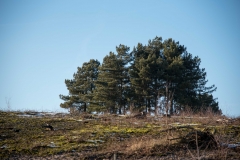 750_7176