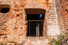 1_DSC_2811