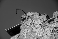 DSC_2929-zw
